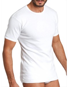 Maglia uomo a giro 100% cotone manica corta Basic Cotton 906