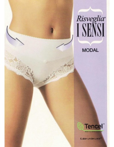 Slip Donna Contenitivo Vita alta Pizzo Risveglia i Sensi G03